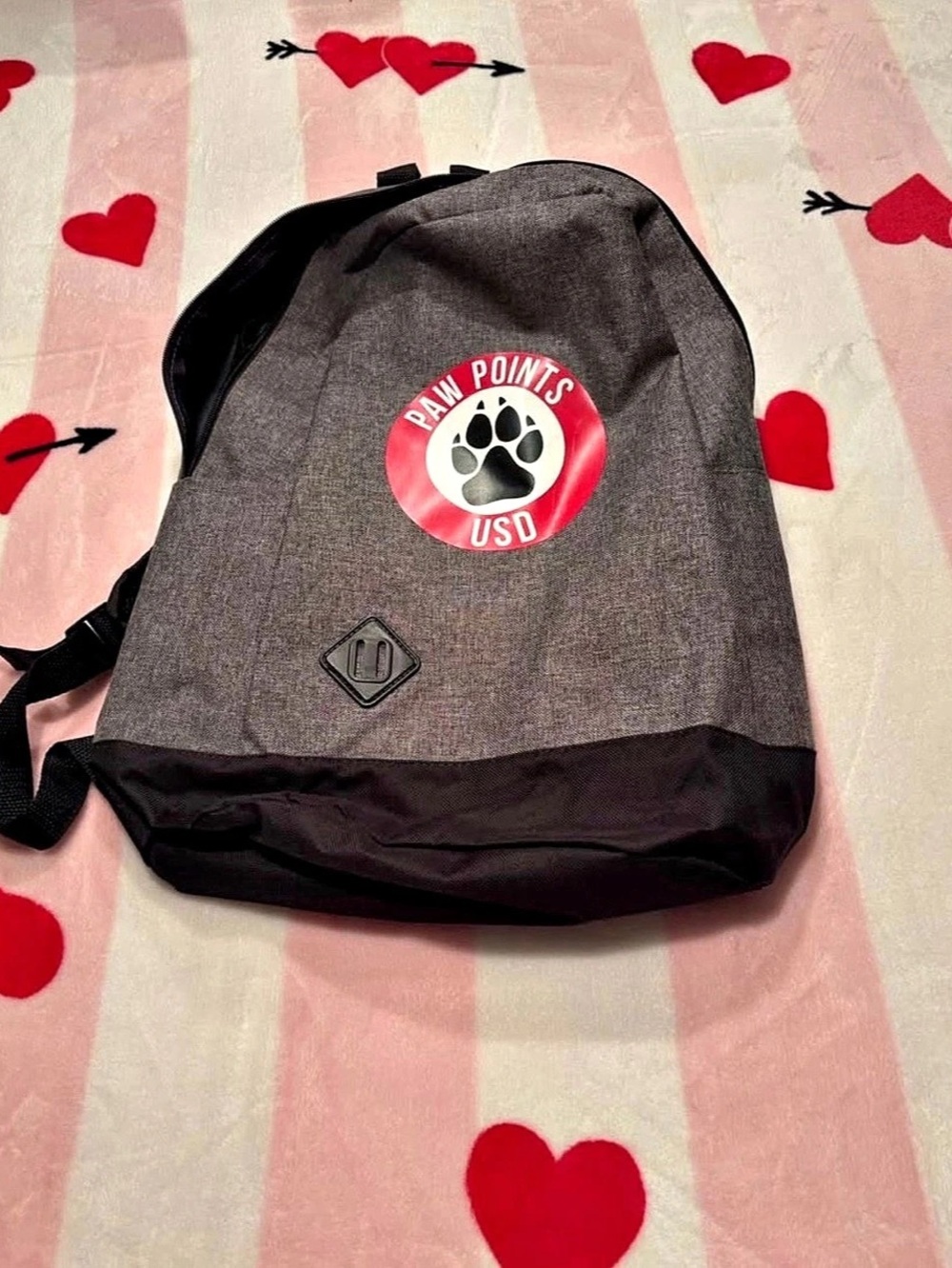 Paw Points Outdoor Pet Backpack Gray & Black